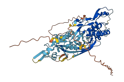 C9 3D structure