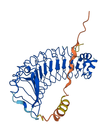 LRG1 3D structure