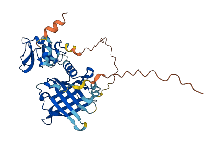 AMBP 3D structure