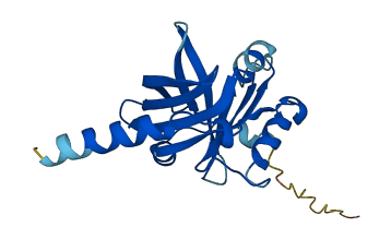 ORM1 3D structure