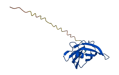 TTR 3D structure