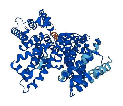 ALB 3D structure
