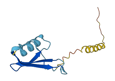 PF4 3D structure