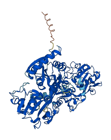 TF 3D structure
