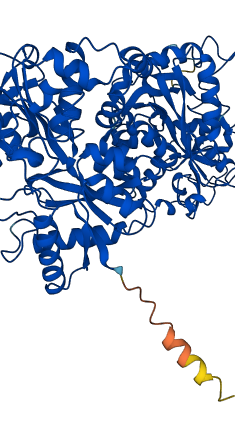 LTF 3D structure
