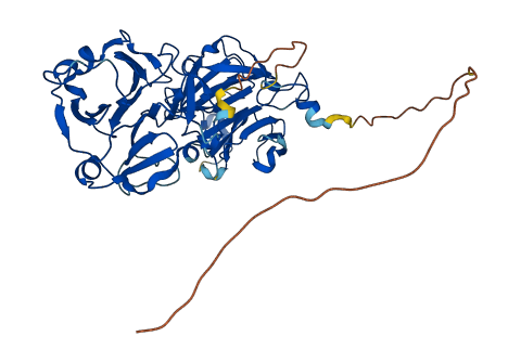 HPX 3D structure