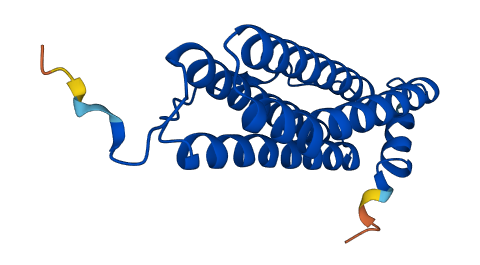 FTH1 3D structure
