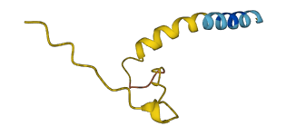 STATH 3D structure