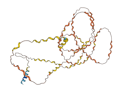 PRB2 3D structure