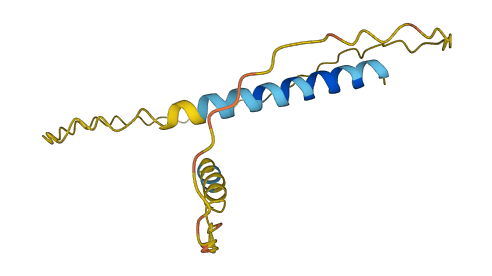 Mucl2 3D structure