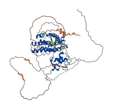 ESR1 3D structure