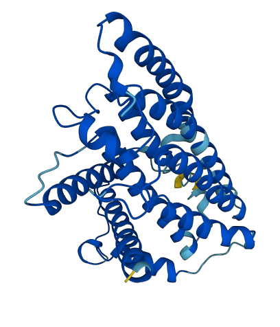 MT-ND1 3D structure