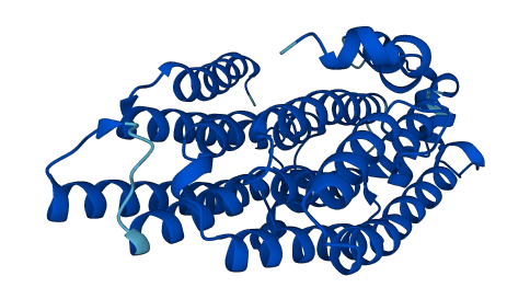 MT-ND2 3D structure