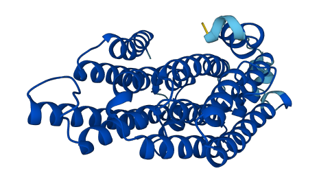 Mtnd2 3D structure