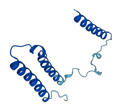 MT-ND3 3D structure