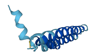MT-ND4L 3D structure