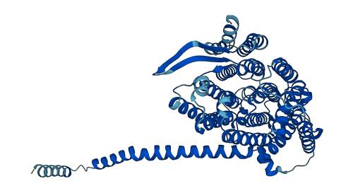 MT-ND5 3D structure