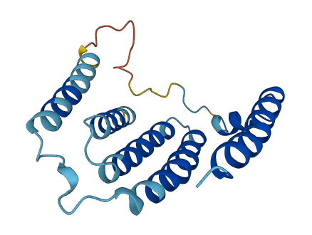 MT-ND6 3D structure