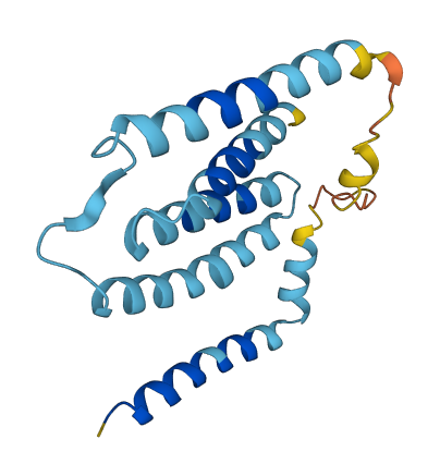 Mtnd6 3D structure