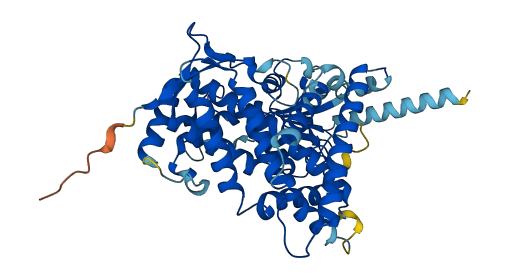 Cyp21 3D structure