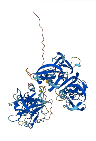 F11 3D structure