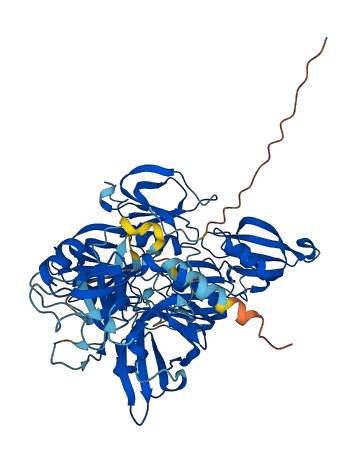 KLKB1 3D structure