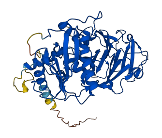 MMP1 3D structure