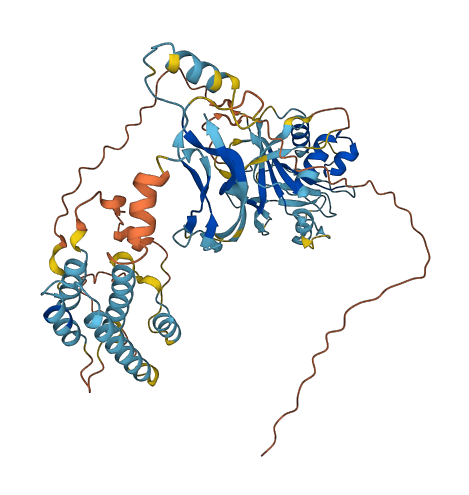 AMH 3D structure