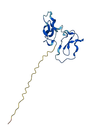 SLPI 3D structure