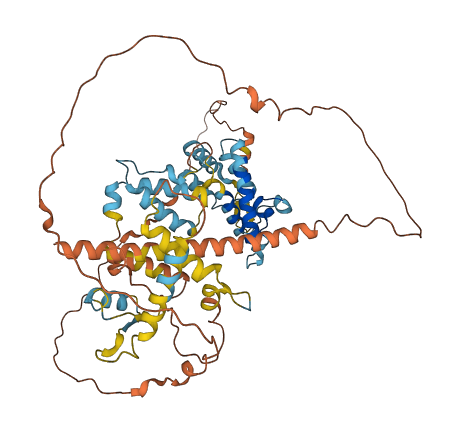 Iap 3D structure