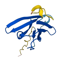 Tcrg-V1 3D structure