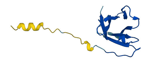 TRGV3 3D structure