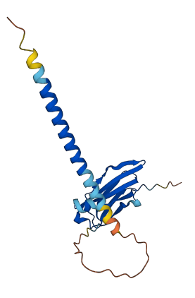 TRGC2 3D structure