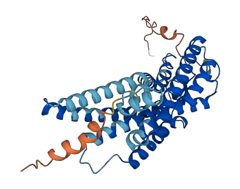 OPN1LW 3D structure
