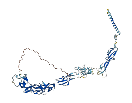 C4BPA 3D structure