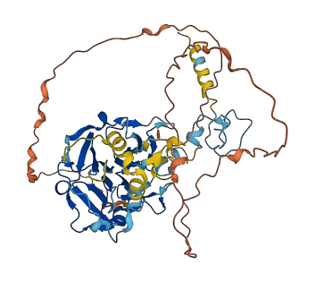 VTN 3D structure