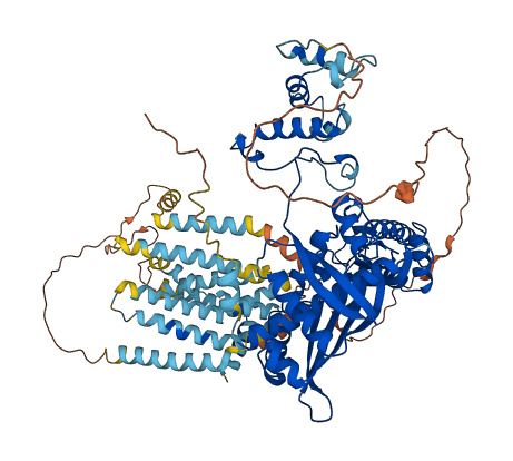 HMGCR 3D structure