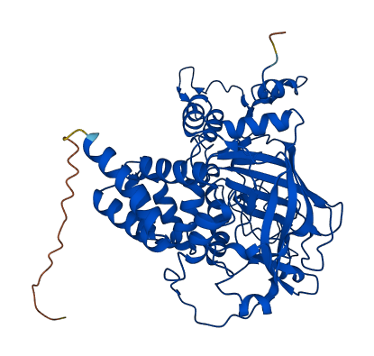 CAT 3D structure