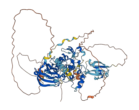 RAF1 3D structure