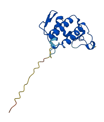 PLA2G1B 3D structure