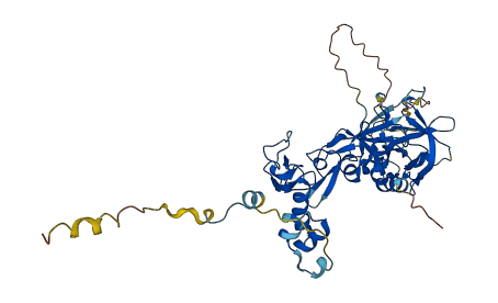 PROC 3D structure