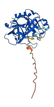 Klk1b16 3D structure