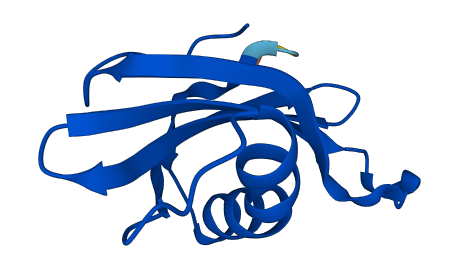 CSTB 3D structure