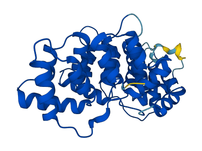 ANXA1 3D structure