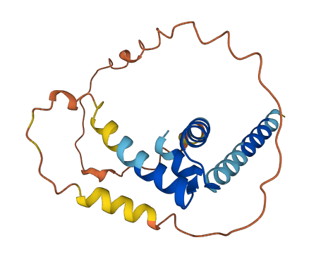 RLN2 3D structure
