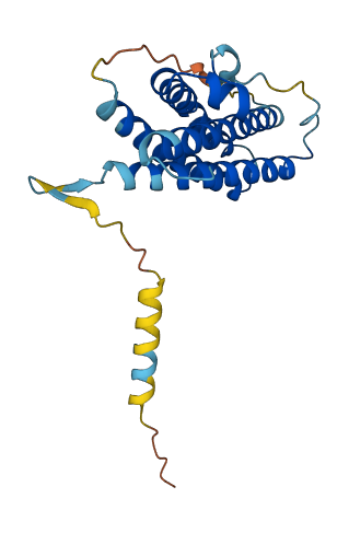 Prl2c2 3D structure