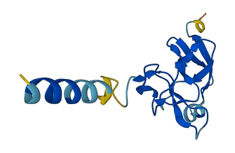 CLPS 3D structure