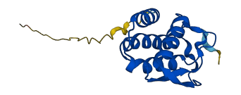 CSF2 3D structure