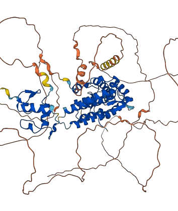 NR3C1 3D structure