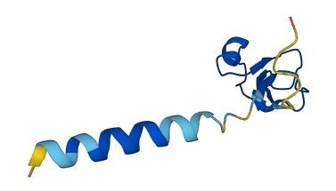 TFF1 3D structure